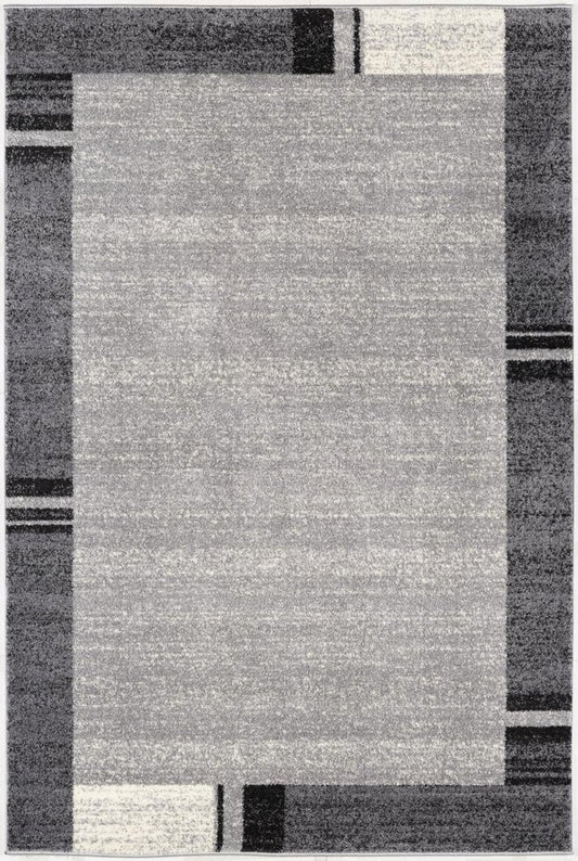 4' X 6' Gray Modern Bordered Area Rug