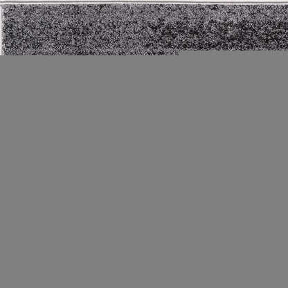 4' X 6' Gray Modern Bordered Area Rug