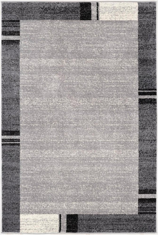 4' X 6' Gray Modern Bordered Area Rug