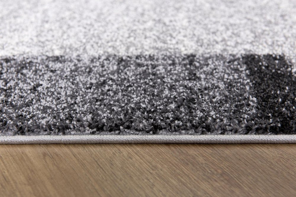 4' X 6' Gray Modern Bordered Area Rug