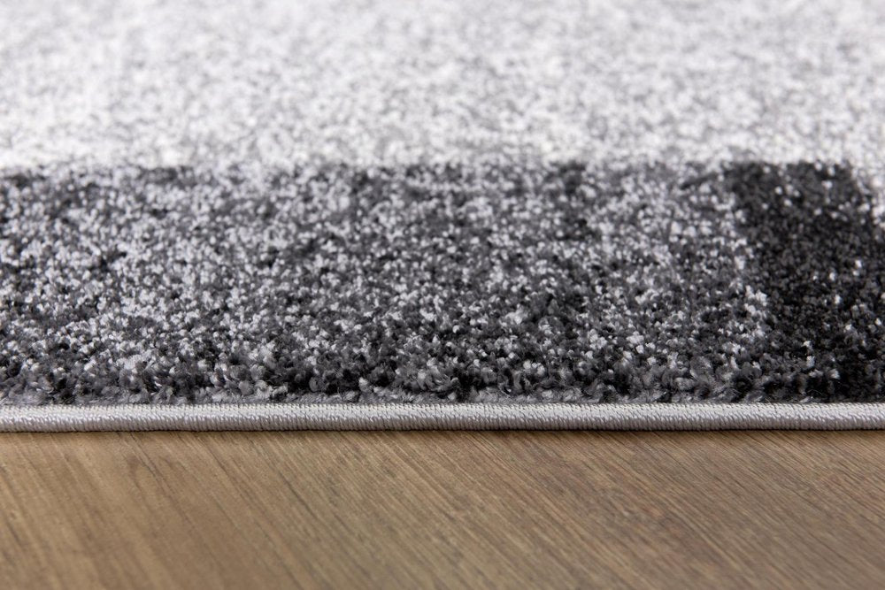 4' X 6' Gray Modern Bordered Area Rug