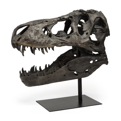 Authentic Replica T Rex Skull Sculpture