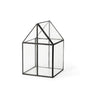 8" Clear And Black Glass And Metal Terrarium House Organizing Box