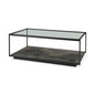 48" Clear And Black Glass Coffee Table With Shelf