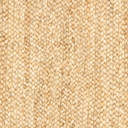 8' X 10' Classic Tan Bordered Area Rug