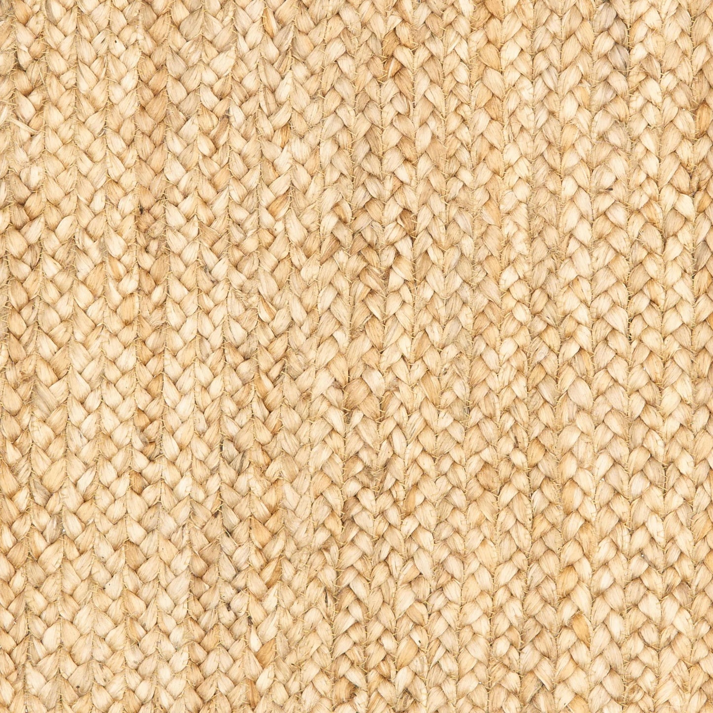 8' X 10' Classic Tan Bordered Area Rug