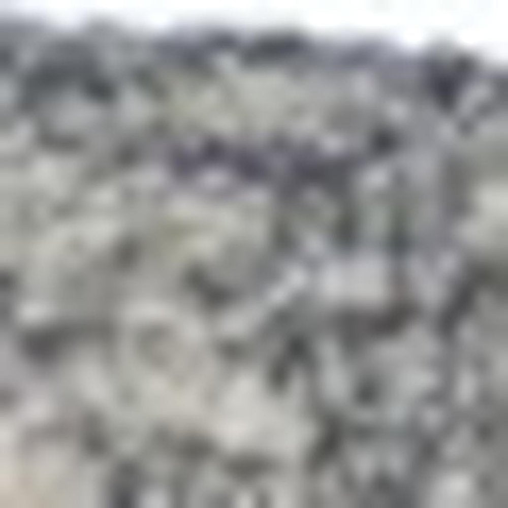 3' x 5' Gray Floral Finesse Area Rug