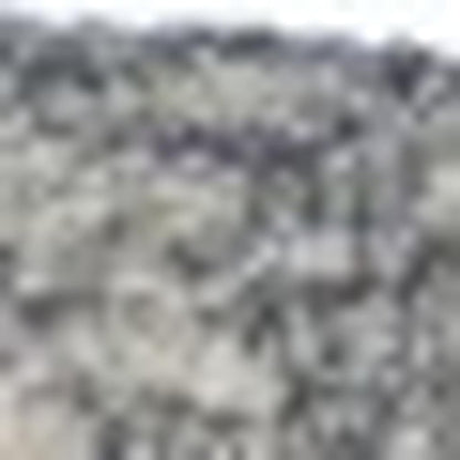 3' x 5' Gray Floral Finesse Area Rug