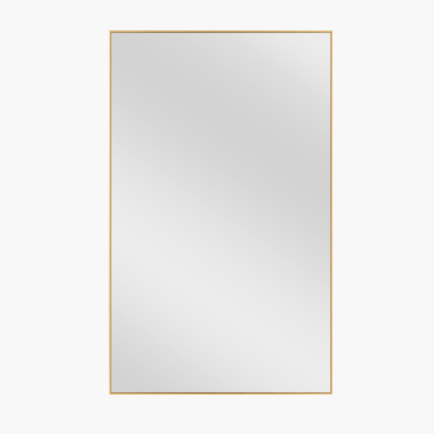 51" Gold Metal Framed Full Length Hanging Mirror