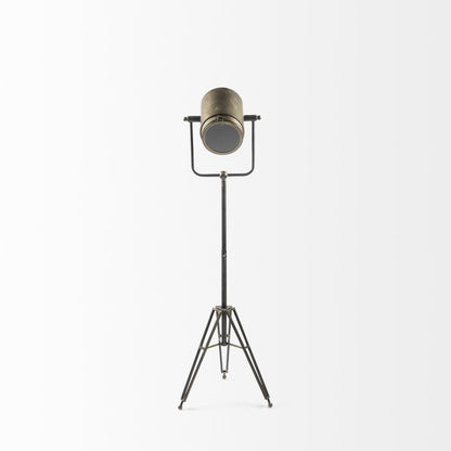 61" Gold LED Floor Lamp With Gold Metal Shade
