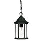 12" Narrow Matte Black Glass Lantern Hanging Light