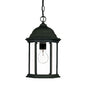 Matte Black Glass Lantern Hanging Light