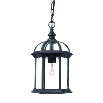 Matte Black Cage Hanging Light