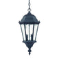 Two Light Matte Black Carousel Lantern Hanging Light