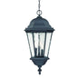 Telfair 3-Light Matte Black Hanging Light