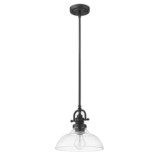 Matte Black Hanging Light with Glass Dome Shade