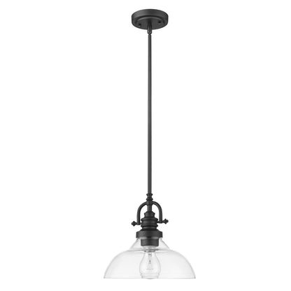 Matte Black Hanging Light with Glass Dome Shade