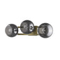 9" Smoky Black And Brass Metal Vanity Flush Mounted Sconce