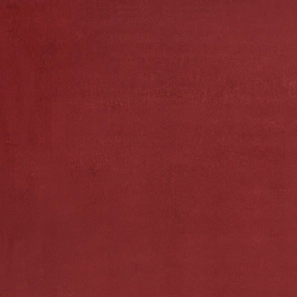 5' X 7' Brick Red Stain Resistant Indoor Outdoor Area Rug