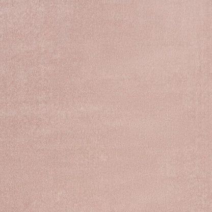 4' X 6' Pink Indoor Outdoor Area Rug