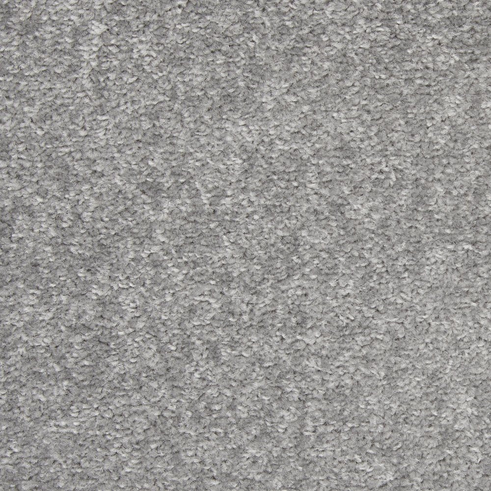 4' X 6' Gray Indoor Outdoor Area Rug