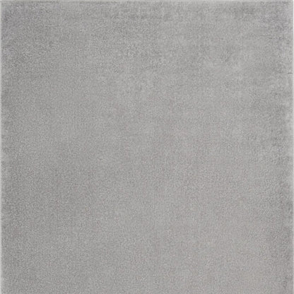4' X 6' Gray Indoor Outdoor Area Rug