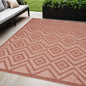 5' X 7' Coral Indoor Outdoor Area Rug