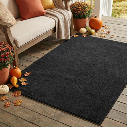 3' X 5' Black Stain Resistant Indoor Outdoor Area Rug