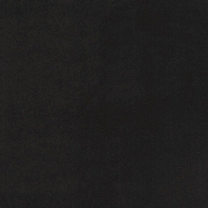 3' X 5' Black Stain Resistant Indoor Outdoor Area Rug