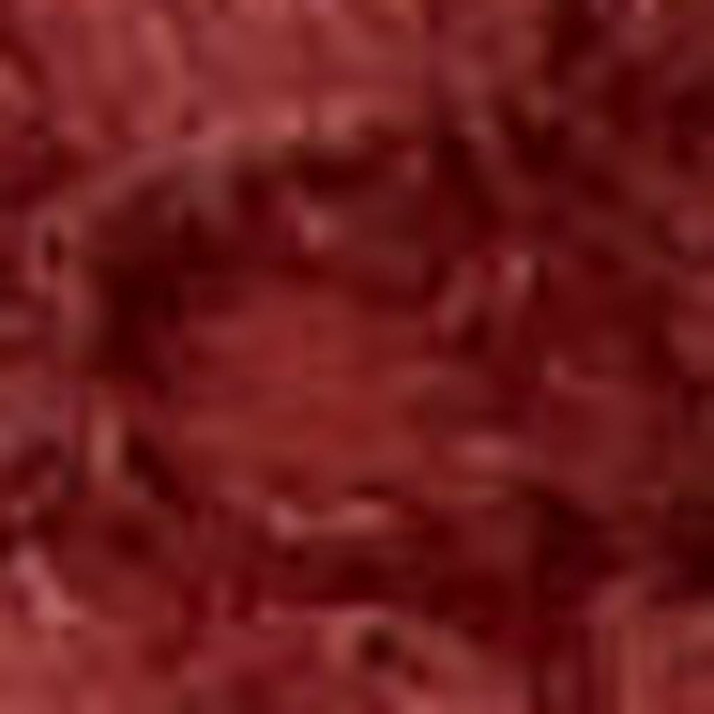 2' X 4' Brick Red Indoor Outdoor Runner Rug