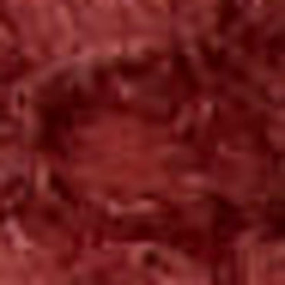 2' X 4' Brick Red Indoor Outdoor Runner Rug