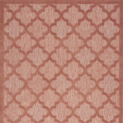 4' X 6' Coral Indoor Outdoor Area Rug