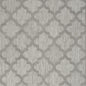 4' X 6' Gray Indoor Outdoor Area Rug