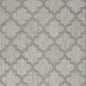 4' X 6' Gray Indoor Outdoor Area Rug