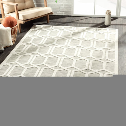 8' X 10' Gray And Ivory Indoor Outdoor Area Rug