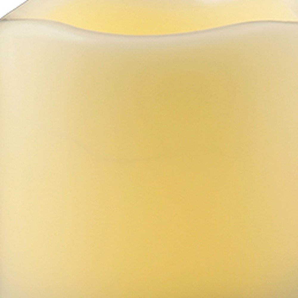 5" Ivory Flameless Indoor Outdoor Pillar Candle