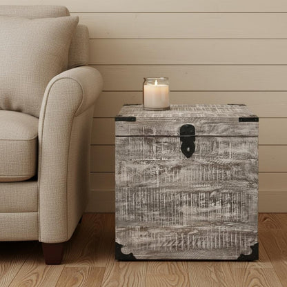 20" Gray Distressed Solid Wood Square Trunk Storage End Table