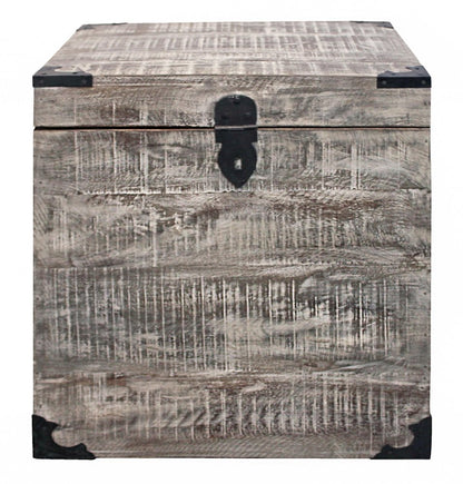20" Gray Distressed Solid Wood Square Trunk Storage End Table
