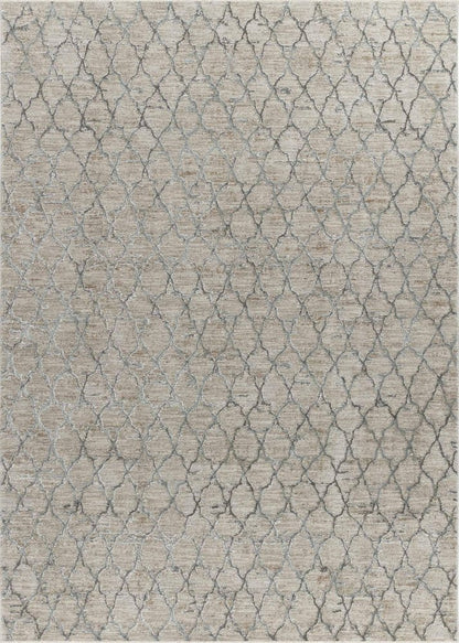 8' X 10' Beige Moroccan Stain Resistant Area Rug