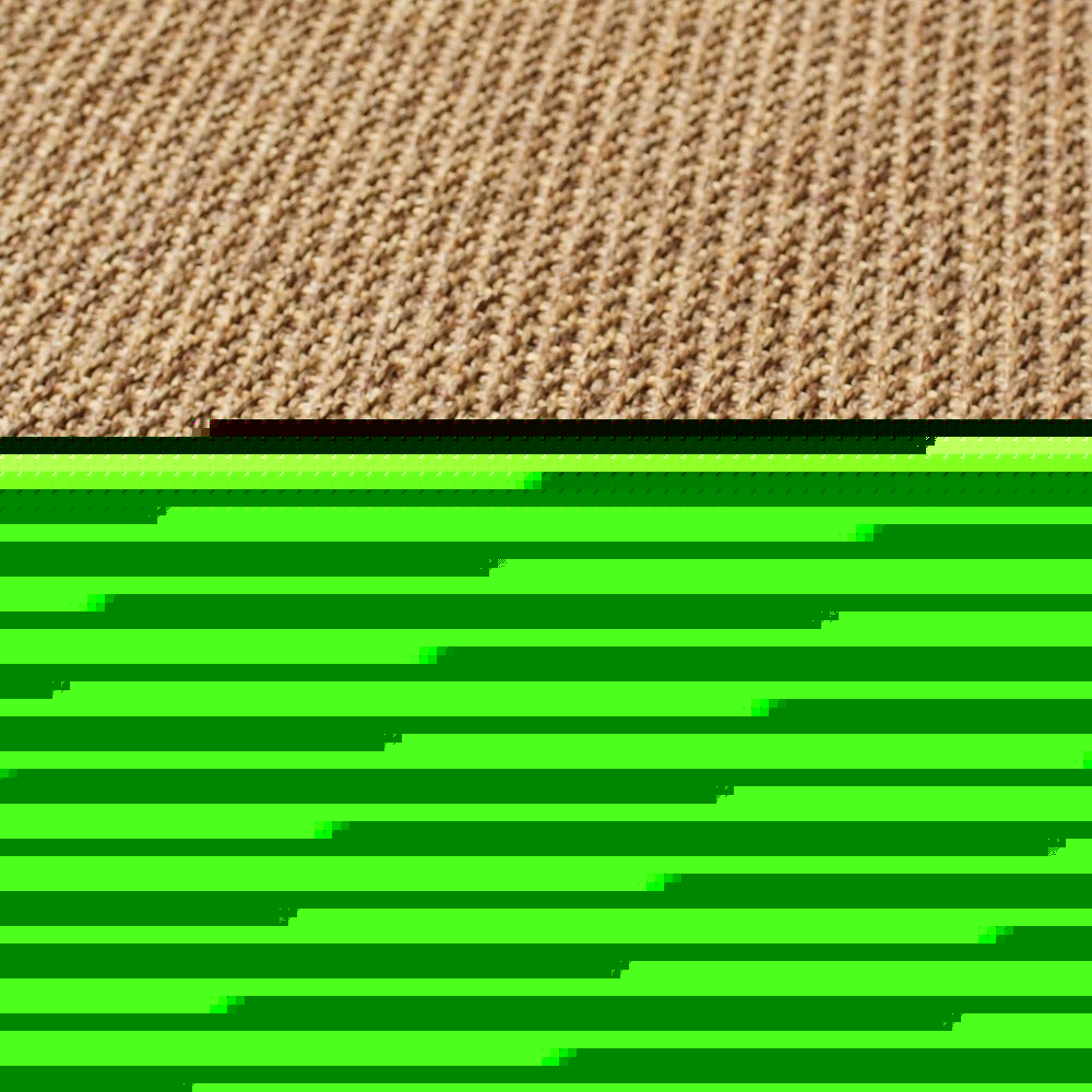 2' X 4' Tan Stain Resistant Indoor Outdoor Area Rug