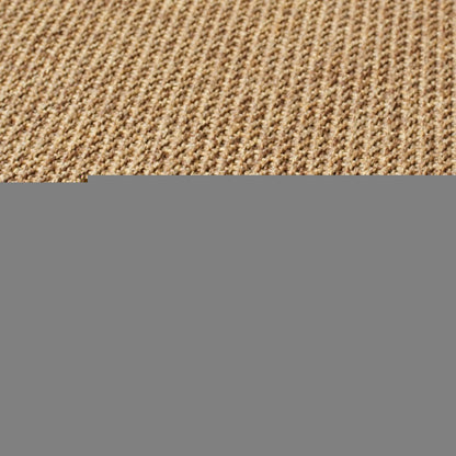 2' X 4' Tan Stain Resistant Indoor Outdoor Area Rug