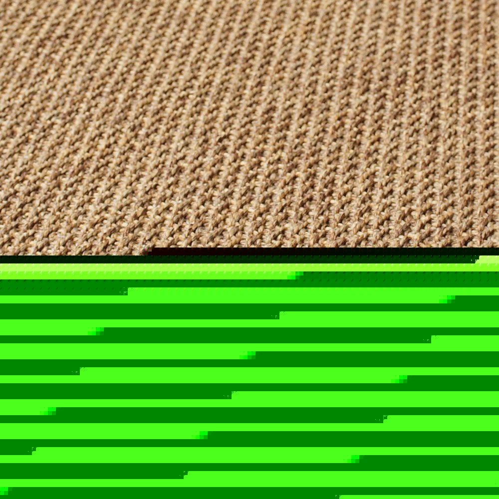 2' X 4' Tan Stain Resistant Indoor Outdoor Area Rug