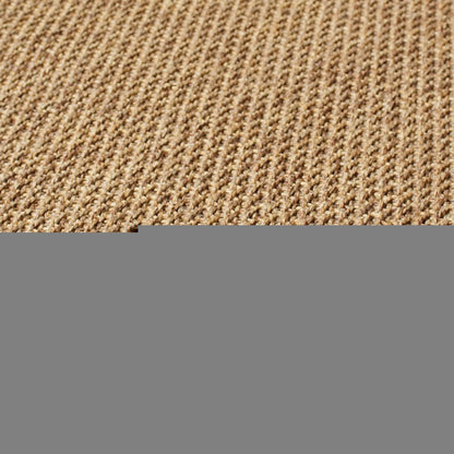 2' X 4' Tan Stain Resistant Indoor Outdoor Area Rug