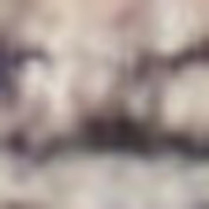 6' X 9' Ivory And Latte Medallion Distressed Washable Area Rug