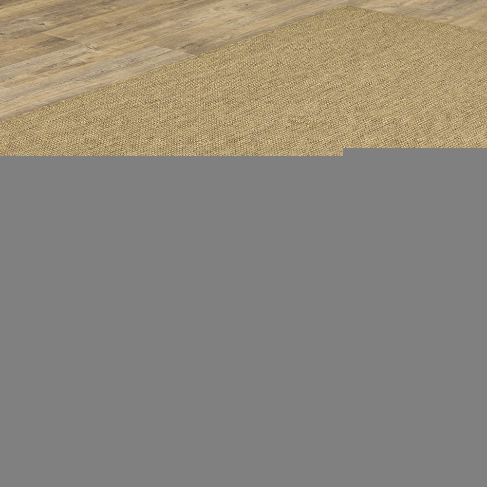 2' X 4' Tan Stain Resistant Indoor Outdoor Area Rug