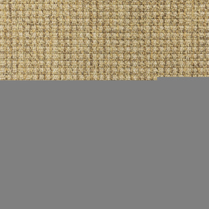 2' X 4' Tan Stain Resistant Indoor Outdoor Area Rug