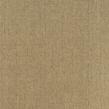 7' X 10' Tan Stain Resistant Indoor Outdoor Area Rug