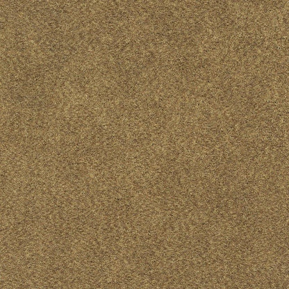 5' X 7' Rich Gold Shag Tufted Handmade Stain Resistant Area Rug