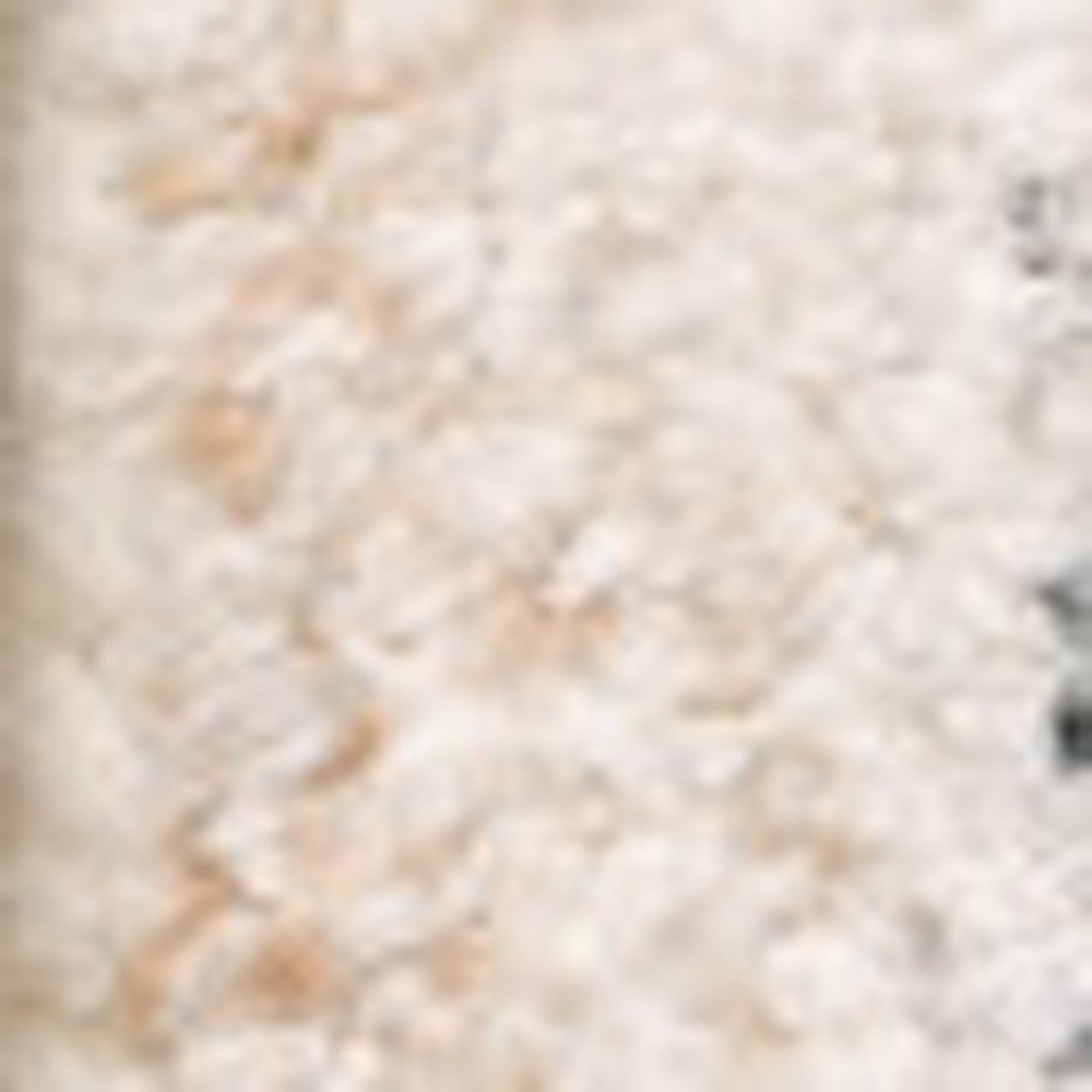 10' X 13' Beige And Grey Oriental Hand Loomed Stain Resistant Area Rug With Fringe