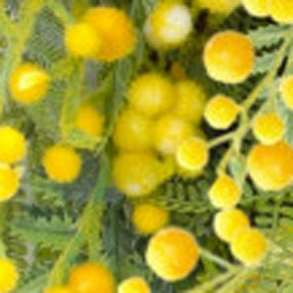 27" Green And Yellow Fern Artificial Wreath